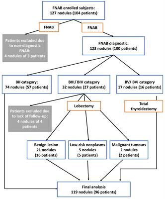 The role of elastography in determining the risk of malignant thyroid nodules in children